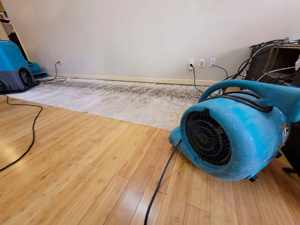 Professional Burst Pipe Water Damage technician working in Petersburg, WV